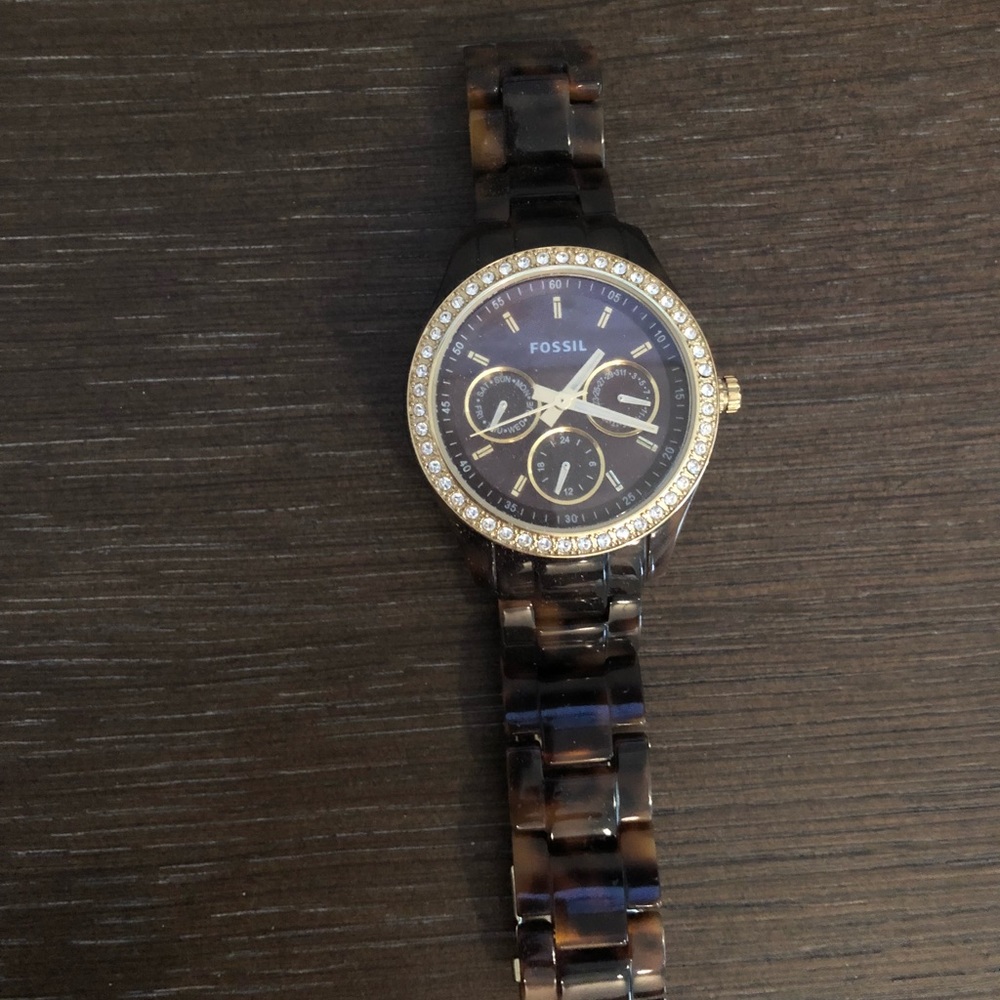 Fossil Watch